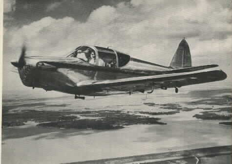 Swift-N33340-Flying